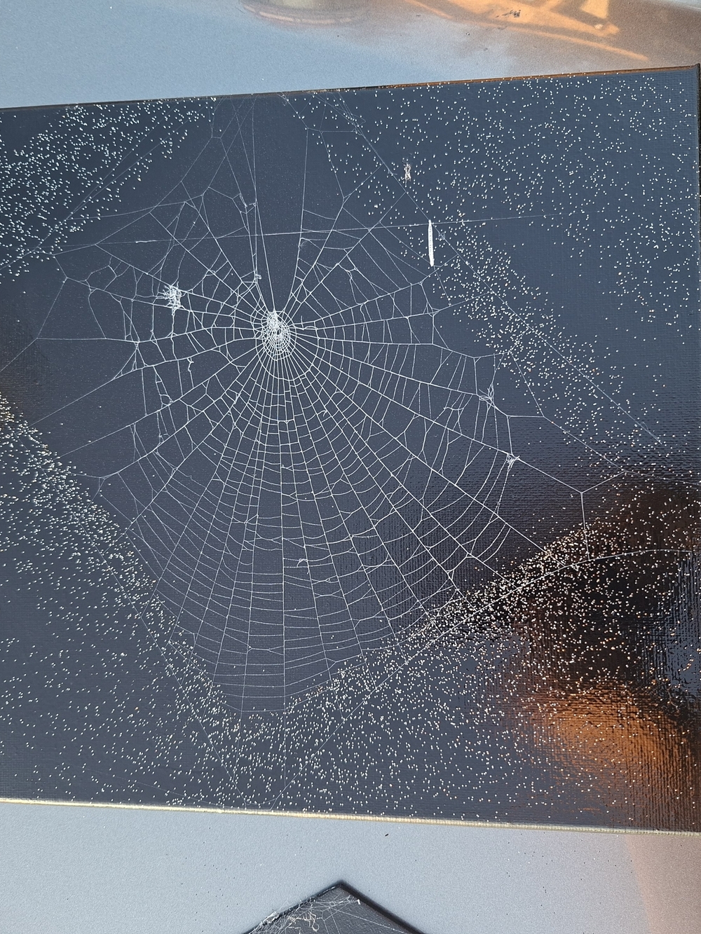 Hand Crafted Black Spider Web Wall Art Panel